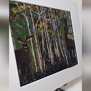 NWT  - Bucks Among The Birch Trees  5x7 Photo On 8x10 Mat By Jack E. Stiddard